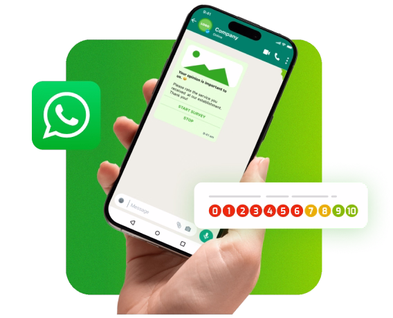 Umfragen über WhatsApp